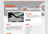 Business Consulting