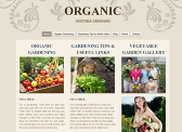 Vegetable Garden