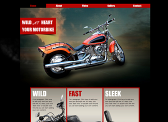 Wild Motorbike