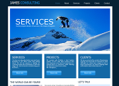 The Consultant